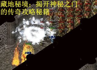 藏地秘境：揭开神秘之门的传奇攻略秘籍