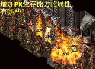 增加PK生存能力的属性有哪些？
