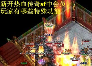 新开热血传奇sf中会员玩家有哪些特殊功能