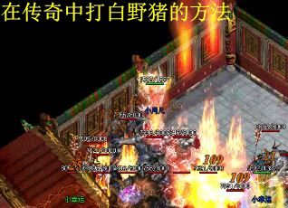 在传奇中打白野猪的方法