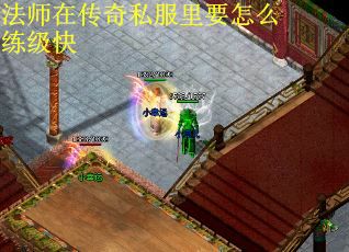 法师在传奇私服里要怎么练级快