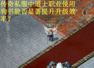 传奇私服中道士职业使用狗书能否显著提升升级效率？