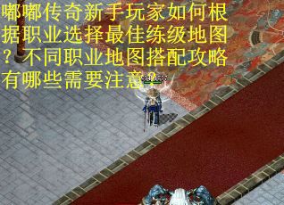嘟嘟传奇新手玩家如何根据职业选择最佳练级地图？不同职业地图搭配攻略有哪些需要注意？