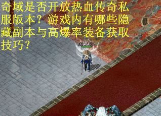 奇域是否开放热血传奇私服版本？游戏内有哪些隐藏副本与高爆率装备获取技巧？