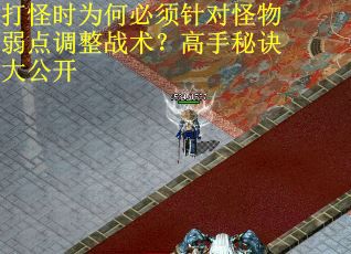 打怪时为何必须针对怪物弱点调整战术？高手秘诀大公开
