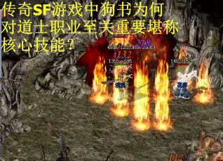 传奇SF游戏中狗书为何对道士职业至关重要堪称核心技能？