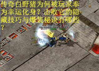 传奇白野猪为何被玩家奉为幸运化身？击败它的隐藏技巧与爆装秘诀有哪些？