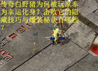 传奇白野猪为何被玩家奉为幸运化身？击败它的隐藏技巧与爆装秘诀有哪些？