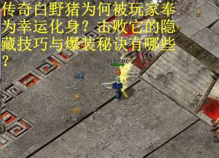 传奇白野猪为何被玩家奉为幸运化身？击败它的隐藏技巧与爆装秘诀有哪些？