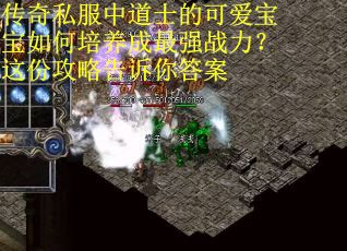 传奇私服中道士的可爱宝宝如何培养成最强战力？这份攻略告诉你答案