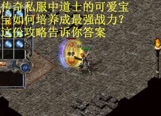 传奇私服中道士的可爱宝宝如何培养成最强战力？这份攻略告诉你答案