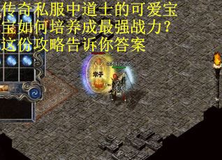 传奇私服中道士的可爱宝宝如何培养成最强战力？这份攻略告诉你答案