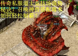 传奇私服道士竞技场强势秘诀？召唤神兽搭配毒术如何轻松制霸？
