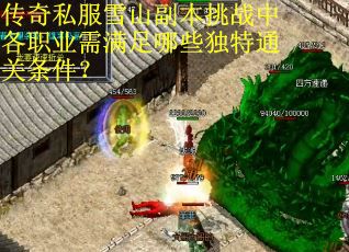 传奇私服雪山副本挑战中各职业需满足哪些独特通关条件？