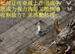 如何让传奇战士在团战中既成为强力肉盾又能快速收割敌方？求搭配技巧