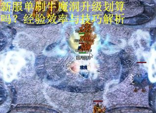 新服单刷牛魔洞升级划算吗？经验效率与技巧解析