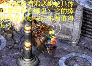 传奇找服网邪恶蝎蛇具体位置分布在哪里？它的掉落物品有哪些好东西值得刷？