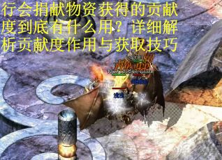 行会捐献物资获得的贡献度到底有什么用？详细解析贡献度作用与获取技巧