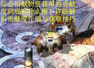 行会捐献物资获得的贡献度到底有什么用？详细解析贡献度作用与获取技巧
