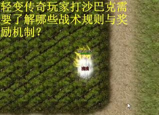 轻变传奇玩家打沙巴克需要了解哪些战术规则与奖励机制？