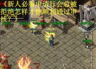 《新人必看申请行会总被拒绝怎样才能顺利通过审核？》