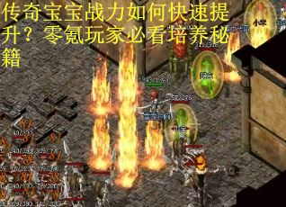 传奇宝宝战力如何快速提升？零氪玩家必看培养秘籍