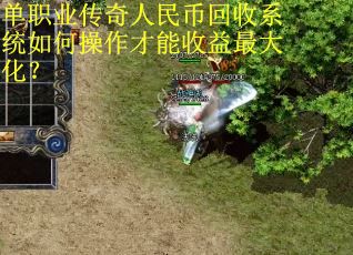 单职业传奇人民币回收系统如何操作才能收益最大化？