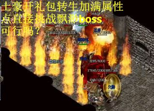 土豪开礼包转生加满属性点直接挑战飘渺boss可行吗？
