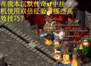 在我本沉默传奇sf中挂机使用双倍经验有哪些高效技巧？