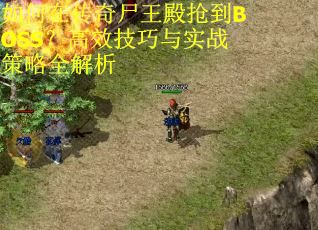如何在传奇尸王殿抢到BOSS？高效技巧与实战策略全解析