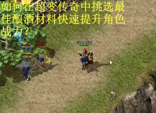 如何在超变传奇中挑选最佳酿酒材料快速提升角色战力？