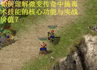 如何理解微变传奇中施毒术技能的核心功能与实战价值？